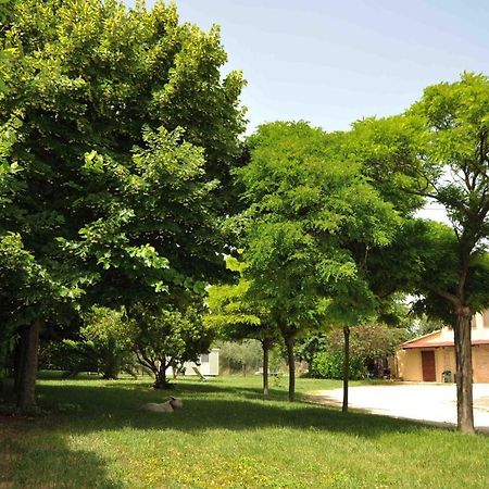 B&B La Posta Grottazzolina Bagian luar foto